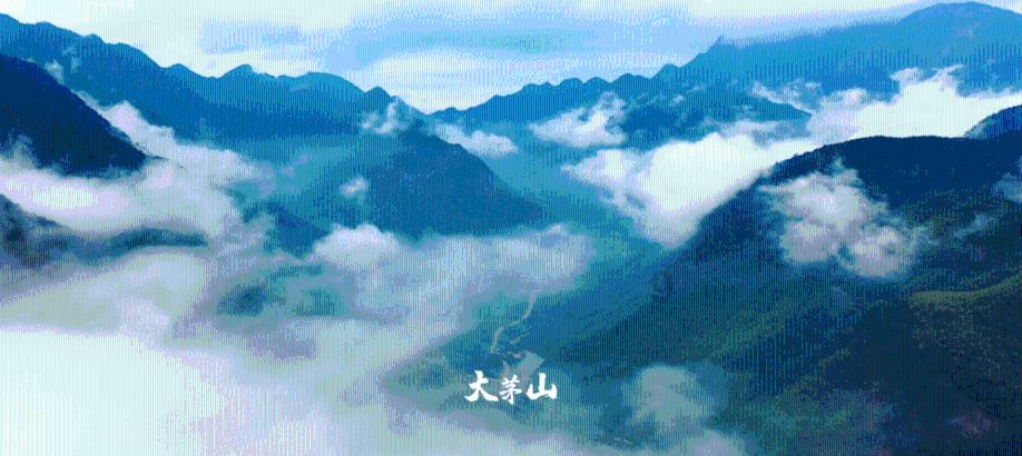 花瓶粉碎者